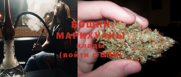 ПСИЛОЦИБИНОВЫЕ ГРИБЫ Майский